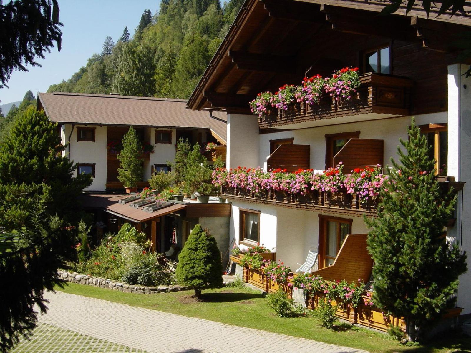 Pension & Appartement Steinwender バド クラインキルヒハイム エクステリア 写真