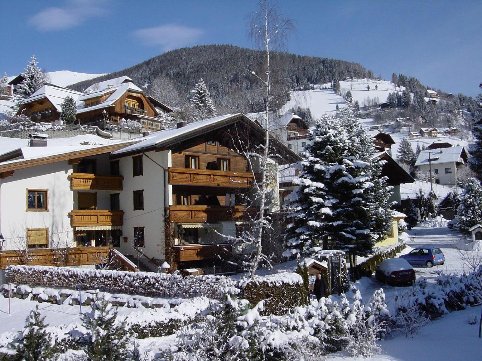 Pension & Appartement Steinwender バド クラインキルヒハイム エクステリア 写真